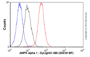 Flow Cytometry (Intracellular) - Anti-AMPK alpha 1 antibody [Y365] (ab32047), expandable thumbnail