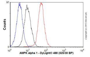 Flow Cytometry (Intracellular) - Anti-AMPK alpha 1 antibody [Y365] - BSA and Azide free (AB210714)