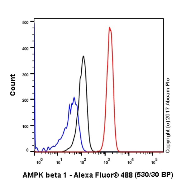 Flow Cytometry (Intracellular) - Anti-AMPK beta 1 antibody [Y367] (AB32112)