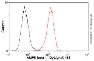 Flow Cytometry (Intracellular) - Anti-AMPK beta 1 antibody [Y367] - BSA and Azide free (AB239804)