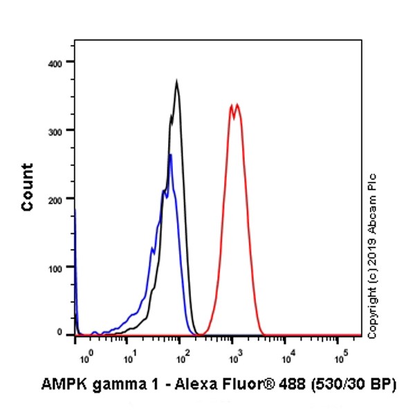 Flow Cytometry (Intracellular) - Anti-AMPK gamma 1 antibody [Y308] (AB32508), expandable thumbnail