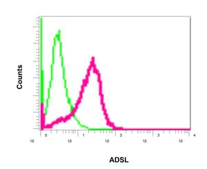 Flow Cytometry (Intracellular) - Anti-AMPS antibody [EPR10747(B)] - BSA and Azide free (AB249082)