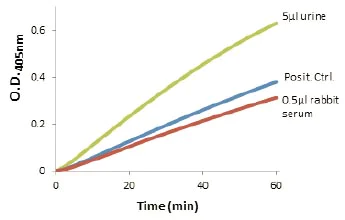 Functional Studies - Amylase Assay Kit (Colorimetric) (AB102523)