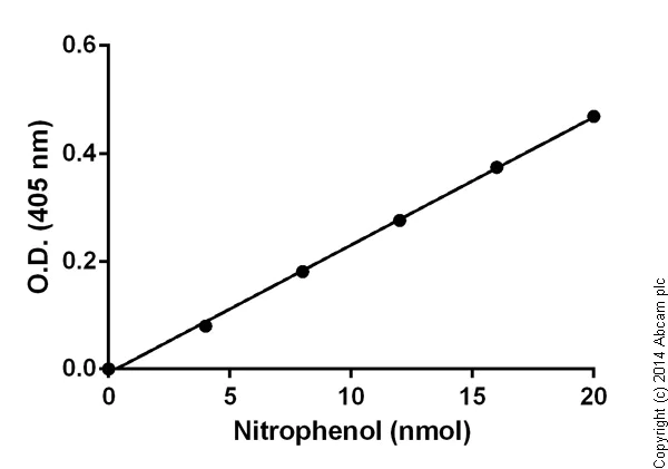 Functional Studies - Amylase Assay Kit (Colorimetric) (AB102523)