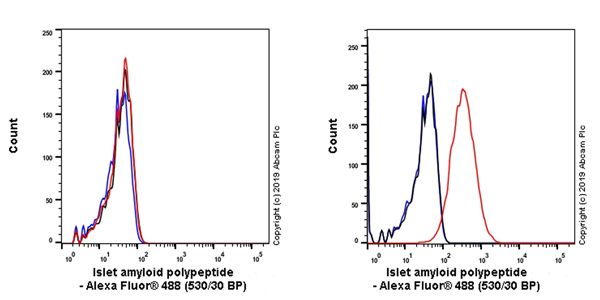 Flow Cytometry (Intracellular) - Anti-Amylin/DAP antibody [EPR22556-138] - BSA and Azide free (ab255329), expandable thumbnail