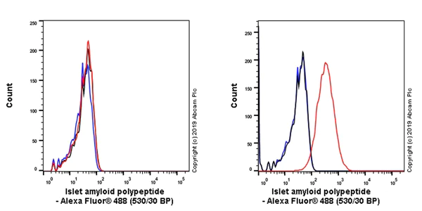 Flow Cytometry (Intracellular) - Anti-Amylin/DAP antibody [EPR22556-138] - BSA and Azide free (AB255329)