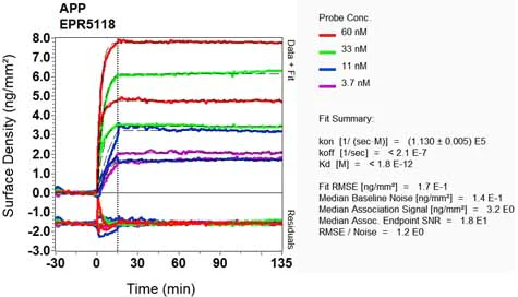 OI-RD Scanning - Anti-Amyloid Precursor Protein antibody [EPR5118] (AB133509)