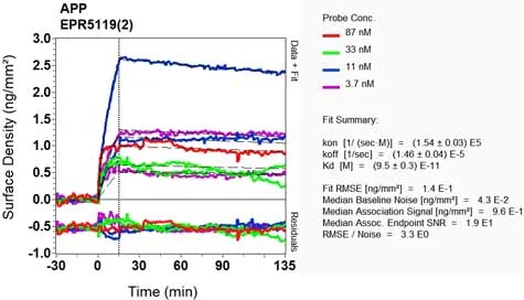 OI-RD Scanning - Anti-Amyloid Precursor Protein antibody [EPR5119(2)] (AB133588)