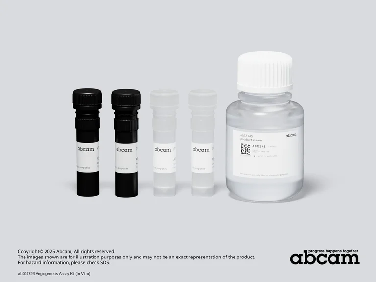 Other - Angiogenesis Assay Kit (In Vitro) (AB204726)