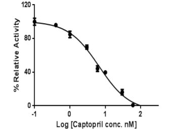 Functional Studies - Angiotensin Converting Enzyme 1 (ACE1) Assay Kit (Inhibitor Screening, Colorimetric) (AB283407), expandable thumbnail