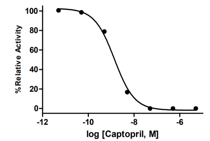 Functional Studies - Angiotensin Converting Enzyme 1 (ACE1) Assay Kit (Inhibitor Screening, Fluorometric) (AB283372)