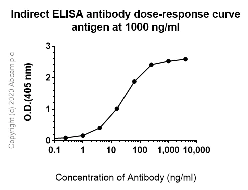 ELISA - Anti-Angiotensin Converting Enzyme 1 antibody [EPR22250-204] - BSA and Azide free (AB240561)