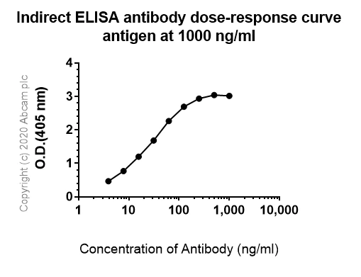 Indirect ELISA - Anti-Angiotensin Converting Enzyme 1 antibody [EPR22291-247] - BSA and Azide free (AB254278)