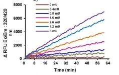 Functional Studies - Angiotensin II Converting Enzyme (ACE2) Activity Assay Kit (Fluorometric) (AB273297)