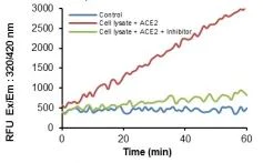 Functional Studies - Angiotensin II Converting Enzyme (ACE2) Activity Assay Kit (Fluorometric) (AB273297)