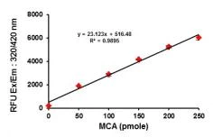 Functional Studies - Angiotensin II Converting Enzyme (ACE2) Activity Assay Kit (Fluorometric) (AB273297)