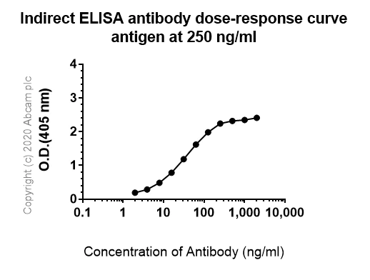 Indirect ELISA - Anti-Angiotensin II Type 1 Receptor antibody [EPR3873] (AB124734)