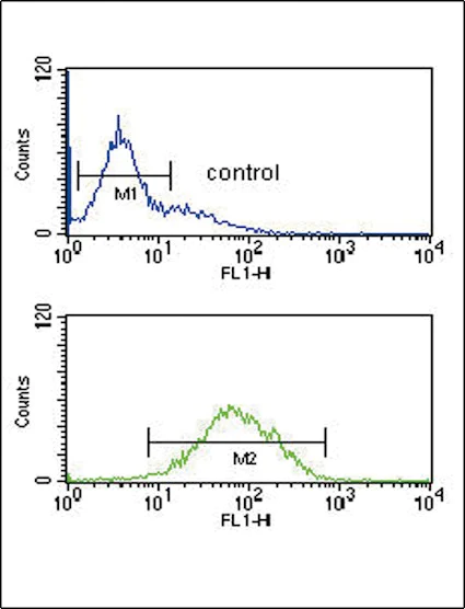 Flow Cytometry (Intracellular) - Anti-ANKH antibody - C-terminal (AB211460)