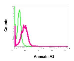 Flow Cytometry (Intracellular) - Anti-Annexin-2/ANXA2 antibody [EPR13052(B)] - BSA and Azide free (AB232476)