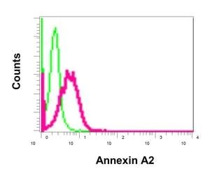 Flow Cytometry (Intracellular) - Anti-Annexin-2/ANXA2 antibody [EPR13052(B)] - BSA and Azide free (AB232476)