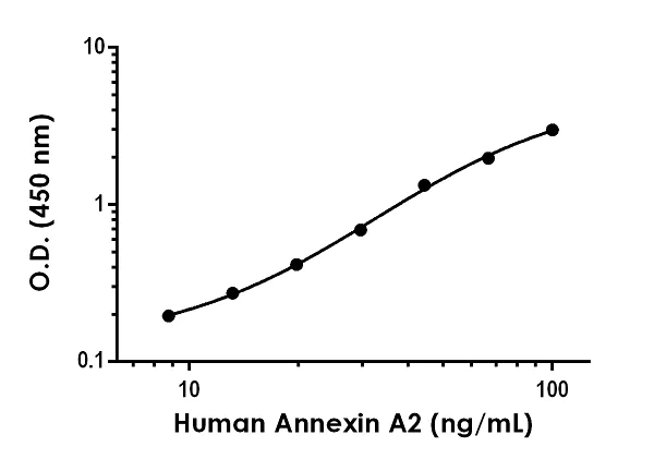 Sandwich ELISA - Anti-Annexin-2/ANXA2 antibody [EPR20514-76] - BSA and Azide free (Detector) (AB267438)