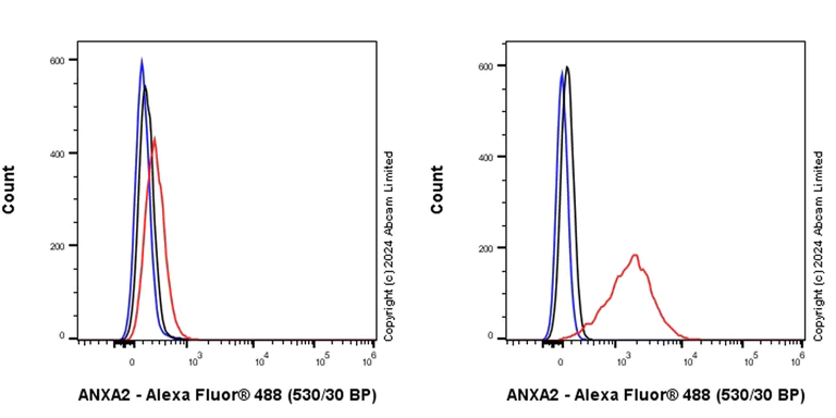 Flow Cytometry (Intracellular) - Anti-Annexin-2/ANXA2 antibody [RM1229] - BSA and Azide free (AB321904)