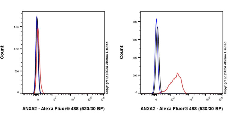 Flow Cytometry (Intracellular) - Anti-Annexin-2/ANXA2 antibody [RM1229] - BSA and Azide free (AB321904)