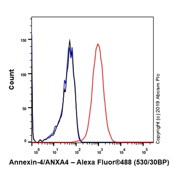 Flow Cytometry (Intracellular) - Anti-Annexin-4/ANXA4 antibody [EPR22929-208] (AB256456)