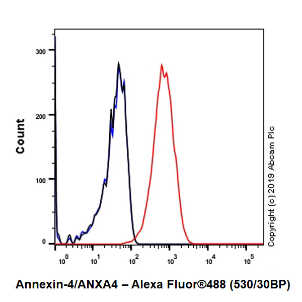 Flow Cytometry (Intracellular) - Anti-Annexin-4/ANXA4 antibody [EPR22929-208] - BSA and Azide free (ab259999), expandable thumbnail