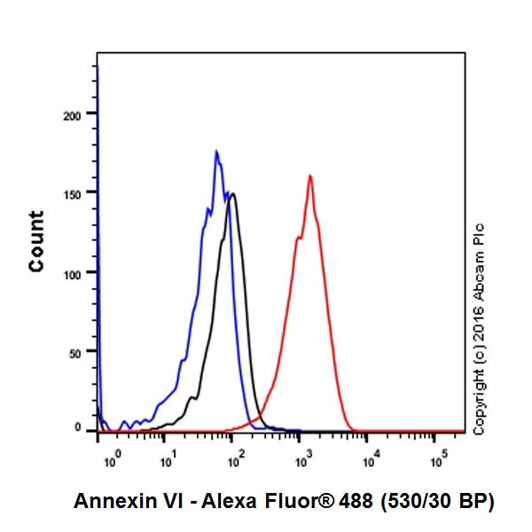 Flow Cytometry (Intracellular) - Anti-Annexin-6/ANXA6 antibody [EPR19536] (AB201024)