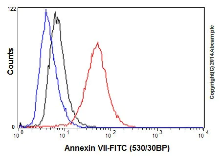 Flow Cytometry (Intracellular) - Anti-Annexin-7/ANXA7 antibody [EPR17090] - BSA and Azide free (AB251240)