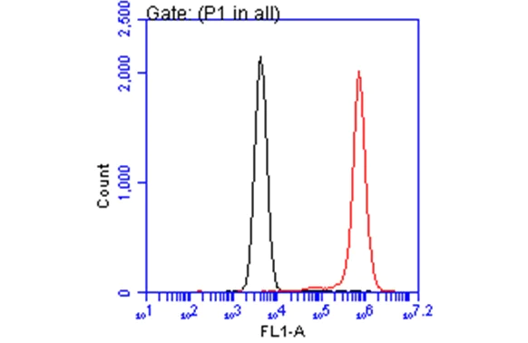 Flow Cytometry - Anti-Annexin V/ANXA5 antibody (AB137823)