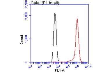 Flow Cytometry - Anti-Annexin V/ANXA5 antibody (AB140068)