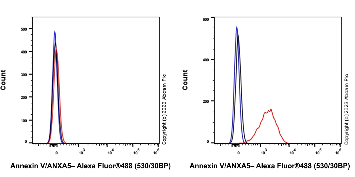 Flow Cytometry (Intracellular) - Anti-Annexin V/ANXA5 antibody [EPR28047-61] (ab313581), expandable thumbnail