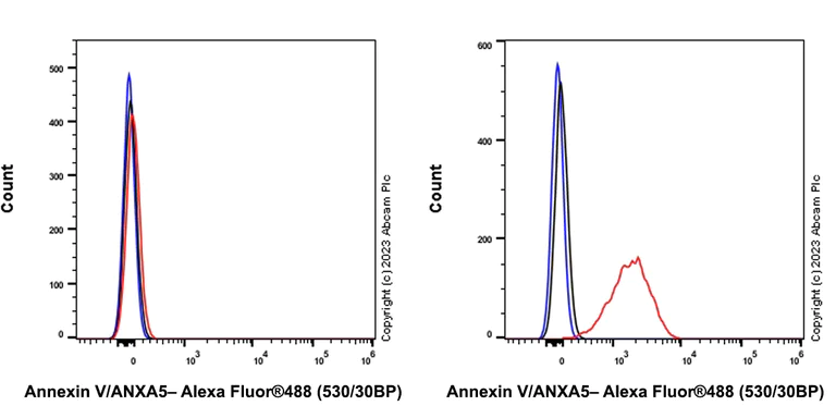 Flow Cytometry (Intracellular) - Anti-Annexin V/ANXA5 antibody [EPR28047-61] (AB313581)