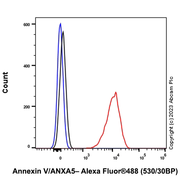 Flow Cytometry (Intracellular) - Anti-Annexin V/ANXA5 antibody [EPR28047-61] (ab313581), expandable thumbnail