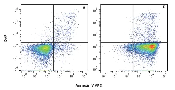 Flow Cytometry - Annexin V-APC Assay Kit (AB236215)