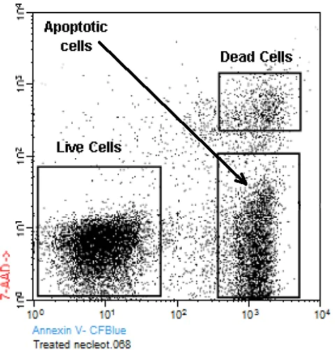 Flow Cytometry - Annexin V-CF Blue 7-AAD Apoptosis Staining / Detection Kit (AB214663)
