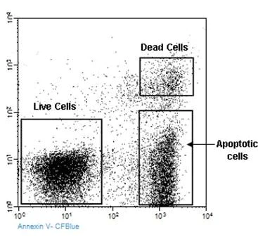 Flow Cytometry - Annexin V-CF Blue PI Apoptosis Staining / Detection Kit (AB214485)