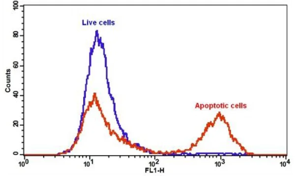 Flow Cytometry - Annexin V-iFluor 488 Apoptosis Detection Kit (AB219916)