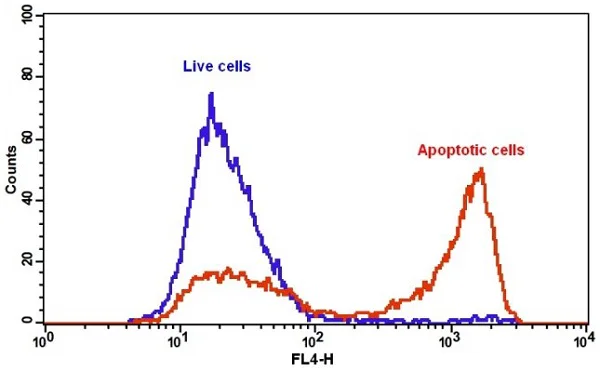 Flow Cytometry - Annexin V-iFluor 647 Apoptosis Detection Kit (AB219919)