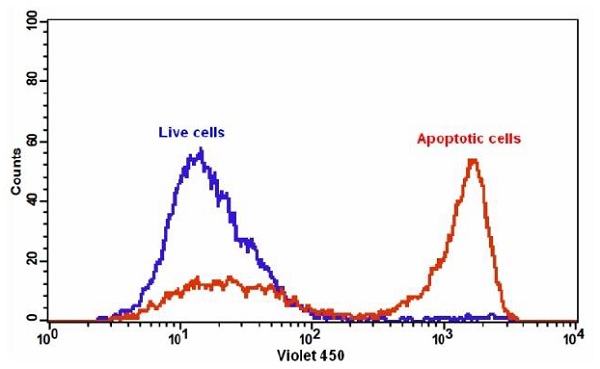 Flow Cytometry - Annexin V-mFluor Violet 450 Apoptosis Staining / Detection Reagent (AB219911), expandable thumbnail
