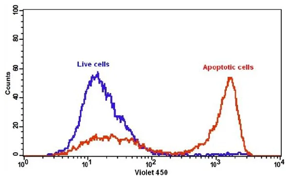 Flow Cytometry - Annexin V-mFluor Violet 450 Apoptosis Staining / Detection Reagent (AB219911)