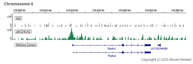 ChIC/CUT&RUN sequencing - Anti-ANP32E antibody [EPR29188-30] (AB324142)