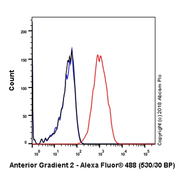 Flow Cytometry (Intracellular) - Anti-Anterior Gradient 2 antibody [EPR3278] - BSA and Azide free (AB181829)
