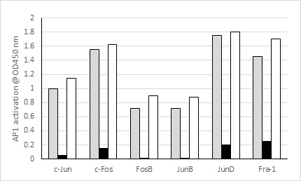 Functional Studies - AP1 (c-Fos/FosB/Fra1/c-Jun/JunD) Transcription Factor Assay Kit (Colorimetric) (AB207196), expandable thumbnail