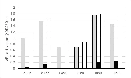 Functional Studies - AP1 (c-Fos/FosB/Fra1/c-Jun/JunD) Transcription Factor Assay Kit (Colorimetric) (AB207196)