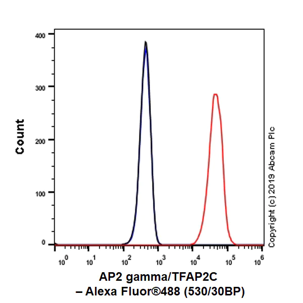Flow Cytometry (Intracellular) - Anti-AP2 gamma/TFAP2C antibody [EP2692Y] - BSA and Azide free (AB247427)