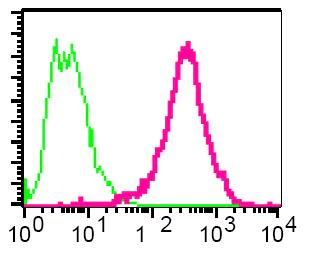 Flow Cytometry (Intracellular) - Anti-AP2 gamma/TFAP2C antibody [EP2693Y] - BSA and Azide free (AB284730)