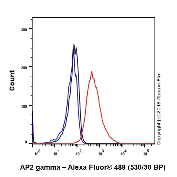 Flow Cytometry (Intracellular) - Anti-AP2 gamma/TFAP2C antibody [EPR20331] - BSA and Azide free (AB251558)